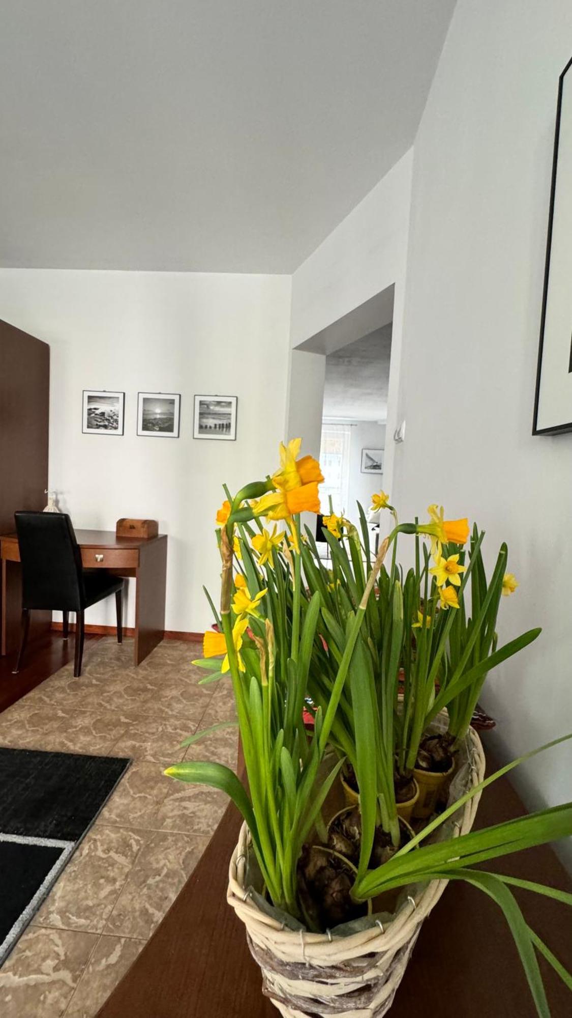 Apartament Rodzinny 코워브제크 외부 사진